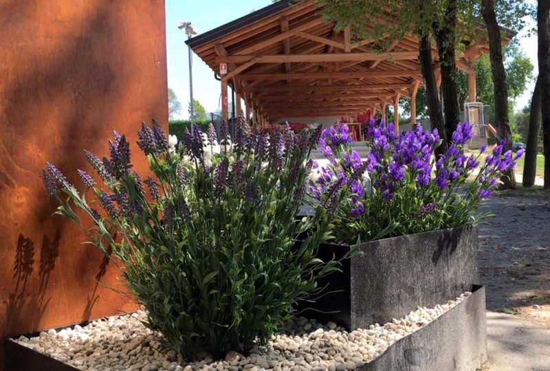 14224844_1095168623885860_8128994320139871483_n 14224844_1095168623885860_8128994320139871483_n